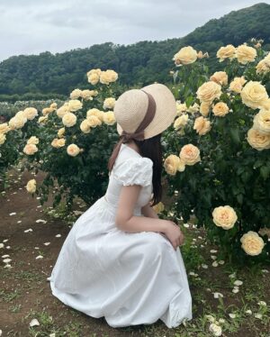 Kanako Hiramatsu Instagram - 🌹