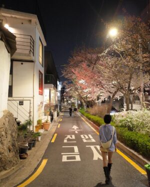 Kang Hye-yeon Instagram - 밤벚꽃🌸