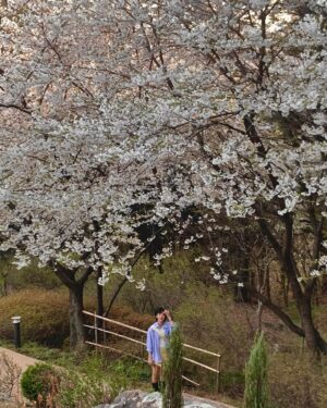 Kang Hye-yeon Instagram - ㅇr,,넘 입후다~~꒰ఎ꒰ ྀི⸝⸝ɞ̴̶̷ ·̫ ɞ̴̶̷⸝⸝ ྀི꒱໒꒱🌸