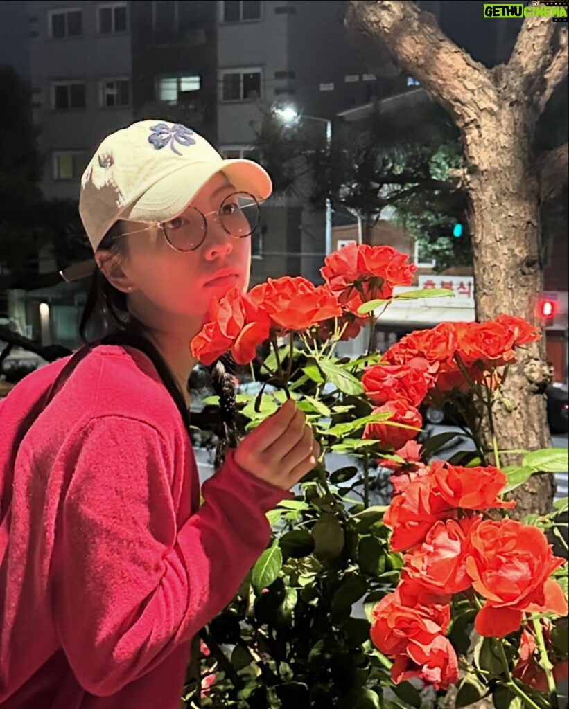 Kang Ji-young Instagram - 💓💐🌹💐🌹💐🌹💐🌹💓