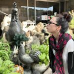 Kang Ji-young Instagram - 🐑🤎🩵💛🪽💞🍀🕊️💚🙈🩷