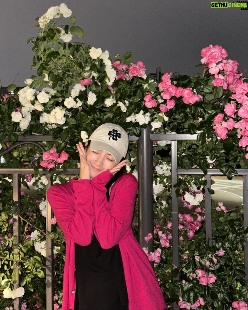 Kang Ji-young Instagram - 💓💐🌹💐🌹💐🌹💐🌹💓