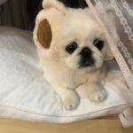 Kang Ye-won Instagram - 분명 추웠는데. . 귀가 시릴까봐 사준건데🥲