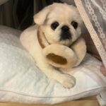 Kang Ye-won Instagram - 분명 추웠는데. . 귀가 시릴까봐 사준건데🥲