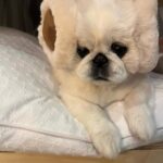 Kang Ye-won Instagram - 분명 추웠는데. . 귀가 시릴까봐 사준건데🥲