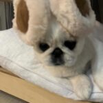 Kang Ye-won Instagram - 분명 추웠는데. . 귀가 시릴까봐 사준건데🥲
