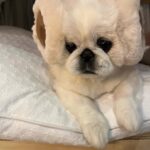 Kang Ye-won Instagram - 분명 추웠는데. . 귀가 시릴까봐 사준건데🥲