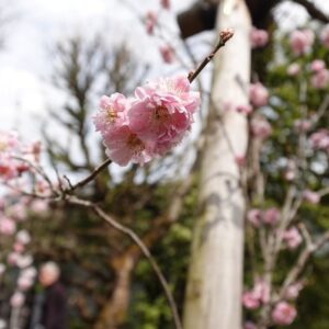 Kanon Miyahara Instagram - 凛さんと日帰り旅行🚃in栃木

天気も良くてたくさん歩いて
良き休日でした🌸

写真たくさん撮ったから
しばらくお付き合いください☺️✨