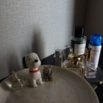 Karen Otomo Instagram - 8枚目、閲覧注意ですな。 最近のキュンたち。