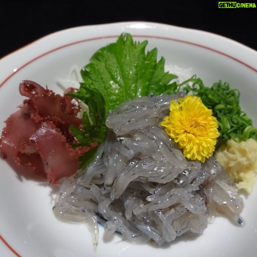 Karen Otomo Instagram - 最近は美味しいものに埋もれています🤤 カフェ行ったり、創作料理食べたり。 プライベートでもお仕事でも 美味しいものを楽しく食べられるのってとっても幸せなことですね☺️ ご飯はすべての源。 ちゃーんと心にまで届くご飯を楽しみたいです✨ さて！今週の予定です🙇‍♀️ 5月20日(月) ・17:10〜FM GUNMA「flower pot」 ・22:00〜Abema「今日、好きになりました。」 5月22日（水） ・24:29〜中京テレビ「お笑い4コマパーティーロロロロ」 5月25日(土) ・22:00〜テレビ朝日「ザ・ニンチドショー」 今週も美味しく楽しみましょう~
