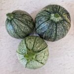 Karla Cossío Instagram - Cosecha de hoy. Poco a poco se realiza mi sueño de tener un huerto en casa. Me conmueve profundamente todo lo relacionado con la naturaleza. Observo. Comprendo que mis procesos son similares a los suyos y aprendo a honrar a cada uno💚