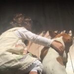 Karla Cossío Instagram - Luke (07/08/17-03/10/21) Compañero inseparable que comprendía con sabiduría canina. Pequeño y valiente, protegernos era su prioridad. Nos enseñó mucho sobre el amor y la lealtad. Gracias Luke, por ser parte de nuestra familia. Te queremos y te extrañaremos siempre, Chapeito.