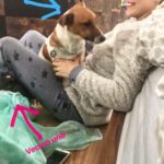 Karla Cossío Instagram - Vecinos invasores❣️