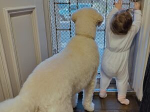 Kassandra Clementi Instagram - These home security systems are getting cuter and cuter. But also more expensive to maintain? And I had to birth one of them?