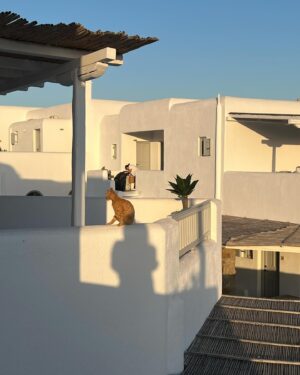 Kate Bryan Instagram - When I grow up I want to be a Greek island