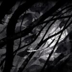 Kate Bush Instagram - THE BOOK PLAYLIST - Look out for The Book Playlist of How To be Invisible. Available on Spotify and other streaming platforms. https://open.spotify.com/playlist/7AFPW0KZWL1btzp8LoiRQZ?si=ff19f8097a724a8e