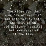 Kate Bush Instagram -