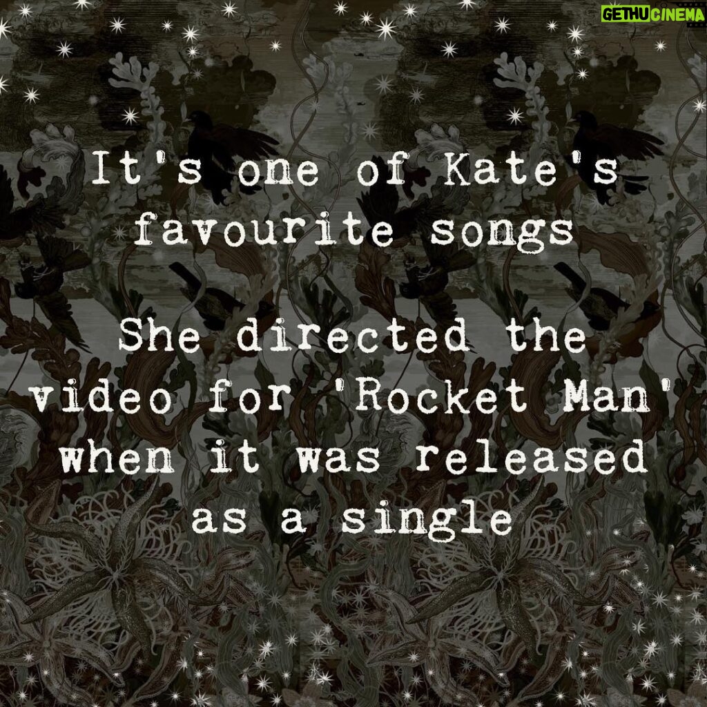 Kate Bush Instagram -