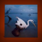 Kate Bush Instagram -