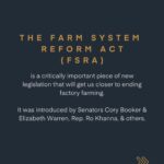 Kate Mara Instagram - This common sense legislation restricts the expansion and abuses of factory farms, which have been proven to harm animals, communities, and the environment. Take action to help farm animals and orient our food system towards justice- tap link in bio and tell your U.S. Representative and Senators to co-sponsor and support the Farm System Reform Act.