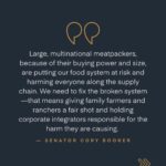 Kate Mara Instagram - This common sense legislation restricts the expansion and abuses of factory farms, which have been proven to harm animals, communities, and the environment. Take action to help farm animals and orient our food system towards justice- tap link in bio and tell your U.S. Representative and Senators to co-sponsor and support the Farm System Reform Act.