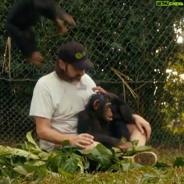 Kate Mara Instagram - This is the perfect thing to watch this holiday season! An incredible story of my friends @liberiachimprescueprotection helping orphaned chimpanzees❤️ #BabyChimpRescue premieres Saturday, December 5 at 8/7c on BBC America.