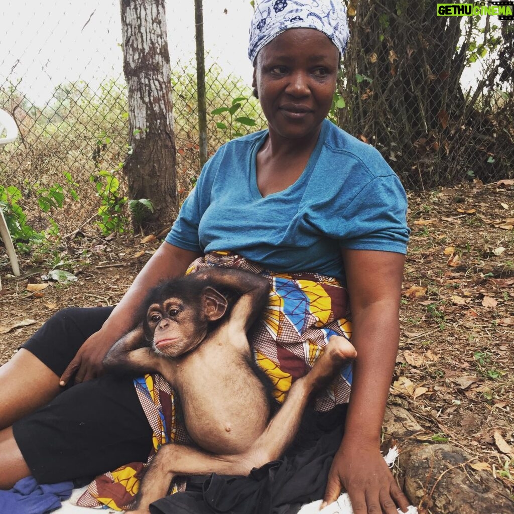 Kate Mara Instagram - Today on #givingdayforapes please support my heroes @liberiachimprescueprotection