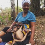 Kate Mara Instagram – Today on #givingdayforapes please support my heroes @liberiachimprescueprotection