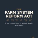 Kate Mara Instagram - This common sense legislation restricts the expansion and abuses of factory farms, which have been proven to harm animals, communities, and the environment. Take action to help farm animals and orient our food system towards justice- tap link in bio and tell your U.S. Representative and Senators to co-sponsor and support the Farm System Reform Act.