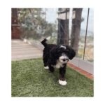 Kate Siegel Instagram - New