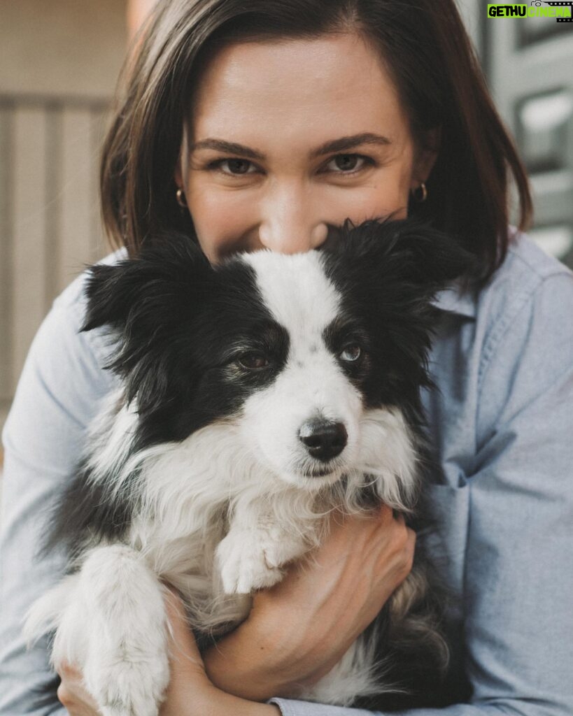 Katherine Barrell Instagram - Bernie… perpetually unimpressed 😂 . @emmamccormickphotography captured some A Bernie snaps for the upcoming cons! 🙌🏼🙌🏼🙌🏼 we will be raising funds for @covetedcanines ❤️🥰❤️