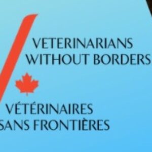 Katherine Barrell Instagram - I would like to extend a massive THANK YOU to all of you who joined me at @dreamitcon this past March!  I mentioned that I would be donating proceeds from this convention to various charities aiding the humanitarian efforts for the war in Ukraine.  Please find the organization donation information here.  Sending you all SO much love and gratitude! xoxo #StandwithUkraine 

1) The Ukrainian Red Cross= “All funds will be used to help those in need, affected by armed conflict, blood collection, mobilization of volunteers and resources, and emergency activities.”

2) World Central Kitchen = “When disaster strikes, WCK’s Chef Relief Team mobilizes to the front lines with the urgency of now to start cooking and provide meals to people in need” 

3) Voices of Children = “With your help, we give psychological and psychosocial support to children who suffered as a result of war operations.
It helps them to win the consequences of the war and develop themselves. Our objective is that every child who has suffered from the war in Ukraine must get psychological help in time.”

4) Canadian Veterinarians without Boarders // Tailed Hostages of War = “Tailed Hostages of War is a rescue charity. Since the beginning of the war, they have placed over 100,000 animals in appropriate shelters. Importantly, the group also works to mobilize and deliver food and supplies from the city of Lviv to animal shelters across Ukraine, with direct support from Veterinarians without Borders.”