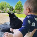 Katherine Barrell Instagram – It’s Take Your Baby Bro To the Dog Park Day. Bernie had a blast showing off his tiny human to all the other woofers. So much so that he refused to walk home… so yep, now we do this🙄🥹🥰 (swipe>>>)