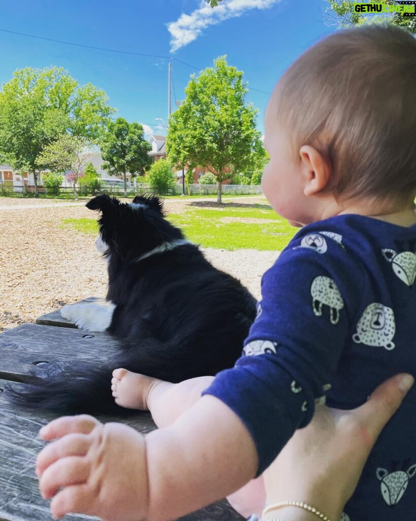 Katherine Barrell Instagram - It’s Take Your Baby Bro To the Dog Park Day. Bernie had a blast showing off his tiny human to all the other woofers. So much so that he refused to walk home… so yep, now we do this🙄🥹🥰 (swipe>>>)