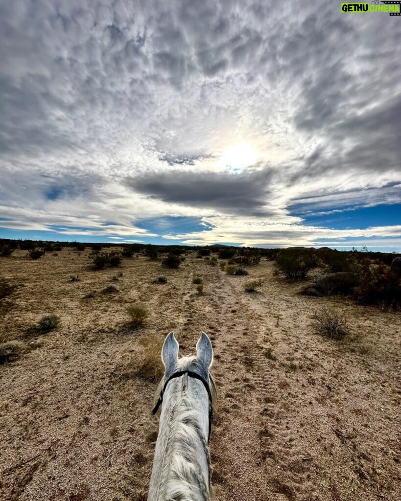 Katherine Kelly Lang Instagram - Natures beauty❤️ #almarahtiffany #aercendurance #50miles #enduranceride #arabianhorse #ridgecrest