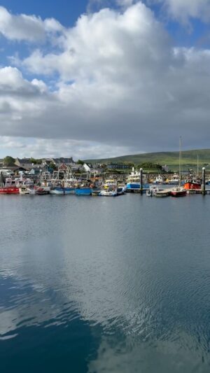 Kathleen Madigan Instagram - Quiet morning in Dingle 🚢

#ireland #dingle #dinglepeninsula #fungi #kathleenmadigan #madiganspubcast