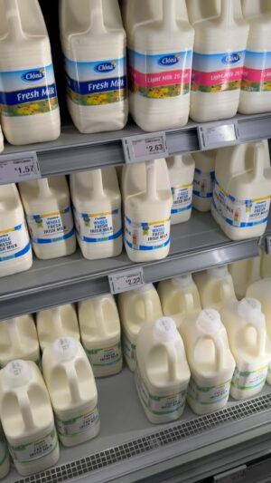 Kathleen Madigan Instagram - Reason #8 🥛🐄

#monday #mondaymotivation #milk #ireland #kathleenmadigan #madiganspubcast #kinsale