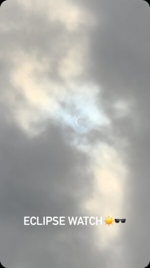 Kathleen Madigan Instagram - The cats don’t care 🌥️👎.
.
#eclipse #monday #nashville #solareclipse #madiganspubcast #eclipse2024