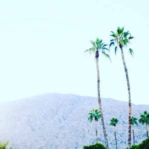 Kathleen Robertson Instagram - 17 years ago a girl from #hamilton married a boy from #carmel @christinearnoldphotography @instyle_weddings #palmsprings #happyanniversary @cjcowles 🖤