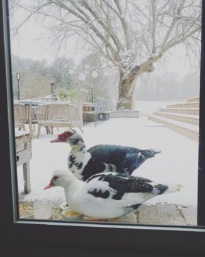 Kathleen Robertson Instagram - Part Deux. Photo Dump. 2021. Bye!!!!