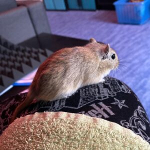 Kathrin Fricke Instagram - Ein nachdenklicher Blick in die Ferne. Auf dieses Knie pullern? Oder doch lieber warten bis man im Laufrad ist und darein pullern? Und warum muss man sich entscheiden, warum nicht beides…?