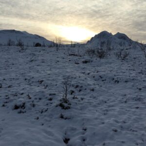 Kathrin Fricke Instagram - Bin in Norwegen. Hier gibt es: Schnee, Nordlichter, Schnee, noch mehr Schnee, Straßen mit Schnee, Berge mit Schnee und Hügel mit Schnee. Und Schnee-Mäuschen! FUN FACT: In Norwegen kostet ein Schlitten weniger als ne Packung Bacon 🥓🥶
