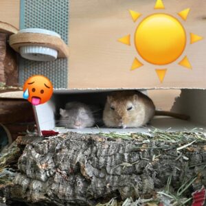 Kathrin Fricke Instagram - Viel zu warm heute...