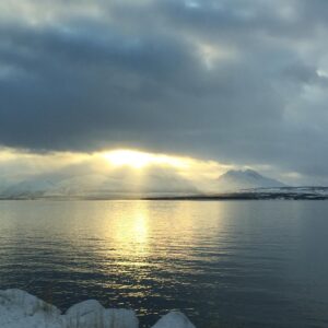 Kathrin Fricke Instagram - Bin in Norwegen. Hier gibt es: Schnee, Nordlichter, Schnee, noch mehr Schnee, Straßen mit Schnee, Berge mit Schnee und Hügel mit Schnee. Und Schnee-Mäuschen! FUN FACT: In Norwegen kostet ein Schlitten weniger als ne Packung Bacon 🥓🥶