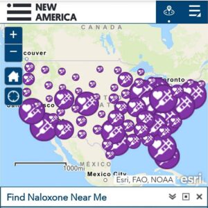 Kathryn Prescott Instagram - Today is International Overdose Awareness Day. Overdose is the leading cause of accidental death in the USA. If you or a loved one are struggling, find out where you can get a dose of the opioid-overdose-reversal drug naloxone near you using this interactive map of the USA. Link to it in my bio. Naloxone is safe and easy for anyone to use. No one has to die of an opioid overdose.