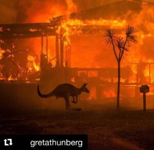 Katie Leung Instagram - #Repost @gretathunberg with @get_repost
・・・
Australia is on fire. And the summer there has only just begun. 2019 was a year of record heat and record drought. Today the temperature outside Sydney was 48,9°C. 500 million (!!) animals are estimated dead because of the bushfires. Over 20 people have died and thousands of homes have burned to ground. The fires have spewed 2/3 of the nations national annual CO2 emissions, according to the Sydney Morning Herald. The smoke has covered glaciers in distant New Zealand (!) making them warm and melt faster because of the albedo effect.
And yet. All of this still has not resulted in any political action. Because we still fail to make the connection between the climate crisis and increased extreme weather events and nature disasters like the #AustraliaFires 
That has to change. 
And it has to change now. My thoughts are with the people of Australia and those affected by these devastating fires.