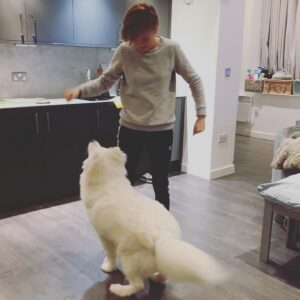 Katie Leung Instagram - Triptych with @bao_the_cloud.