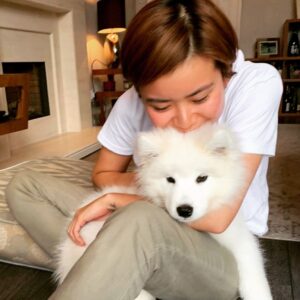 Katie Leung Instagram - This wee guy is so done with all the attention. But imma give it to him anyway cos he’s just too damn cute. 🥰😘😍❤️ @bao_the_cloud