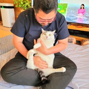 Katsura Hoshino Instagram - 今朝は久しぶりに大久保先生に来ていただいて、さんちゃんのおなかの診察をしていただきました

先生におなかモミモミされてるさんちゃんが可愛いくてパシャり！

神戸引っ越しのアドバイスなど今回もたくさんアドバイスいただきました。ありがとうございます！感謝です〜✨✨

#ハンデニャンニャン

#teko家卒猫
#下半身不随猫三太
#下半身不随猫チョロ
#サンチョロ
#哀れなリスナーにサンチョロの祝福を
#下半身不随猫
#下半身不随猫と暮らす
#圧迫排尿猫
#圧迫排尿
#cat #rescuecat #ねこ #保護猫 #負傷猫 #熊本市動物愛護センター出身 #teko家の犬猫たち#花の木シェルター
