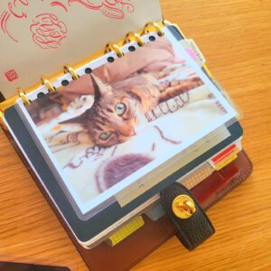 Katsura Hoshino Instagram - A6システム手帳ならばポストカードやラミネート加工した写真もピッタリ収納できますね！⁡
⁡⁡
⁡人目に晒したくないリフィルたちはポストカードを目隠しにしてクリップ留めすれば可愛く隠せます👍

推し(私はサンチョロやコロ)の写真や大好きなアーティストをコレクションしやすいのでそんな自作リフィルもバンバン作りたいですね～♡

 #kawacoyaa6 
 #kawacoya
 #kawacoyaちゃん
 #システム手帳
 #システム手帳a6